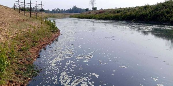 সুতাং নদী: শিল্পের ‘বর্জ্যে’ কৃষির সর্বনাশ